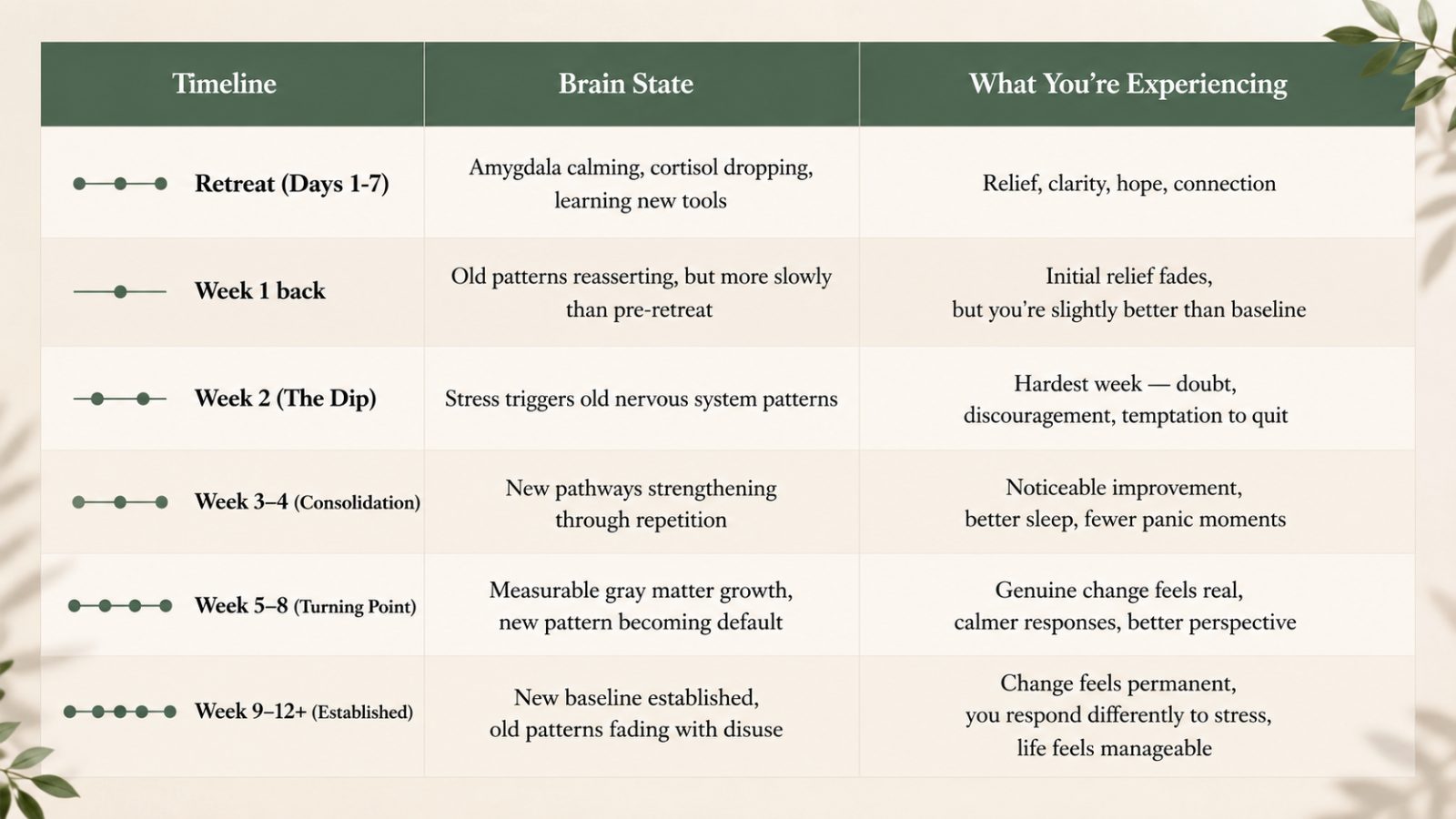 Burnout Recovery Timeline
