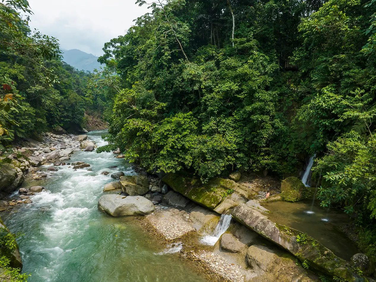 Ayahuasca retreat Colombia