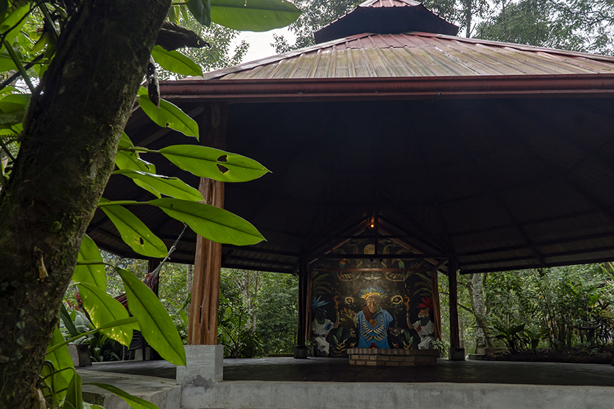 Medicine Maker Retreat | MahaDevi Ayahuasca
