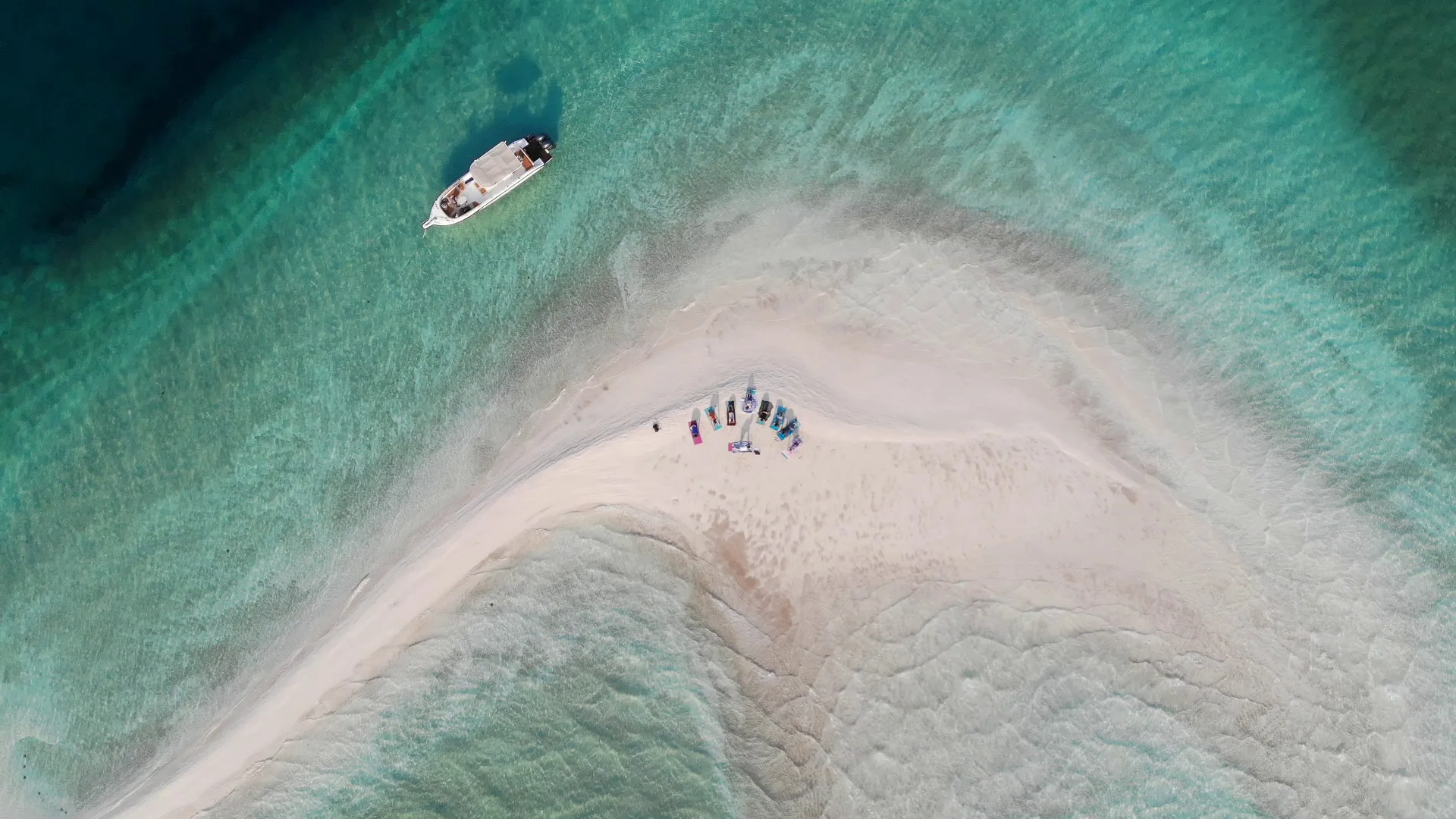 Waves, Wellness And Wildlife