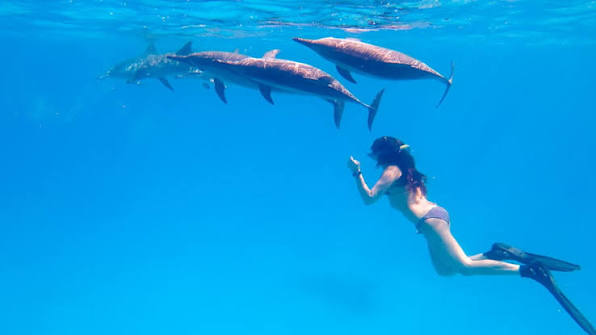 Deep Blue Exhale | An Immersive Retreat
