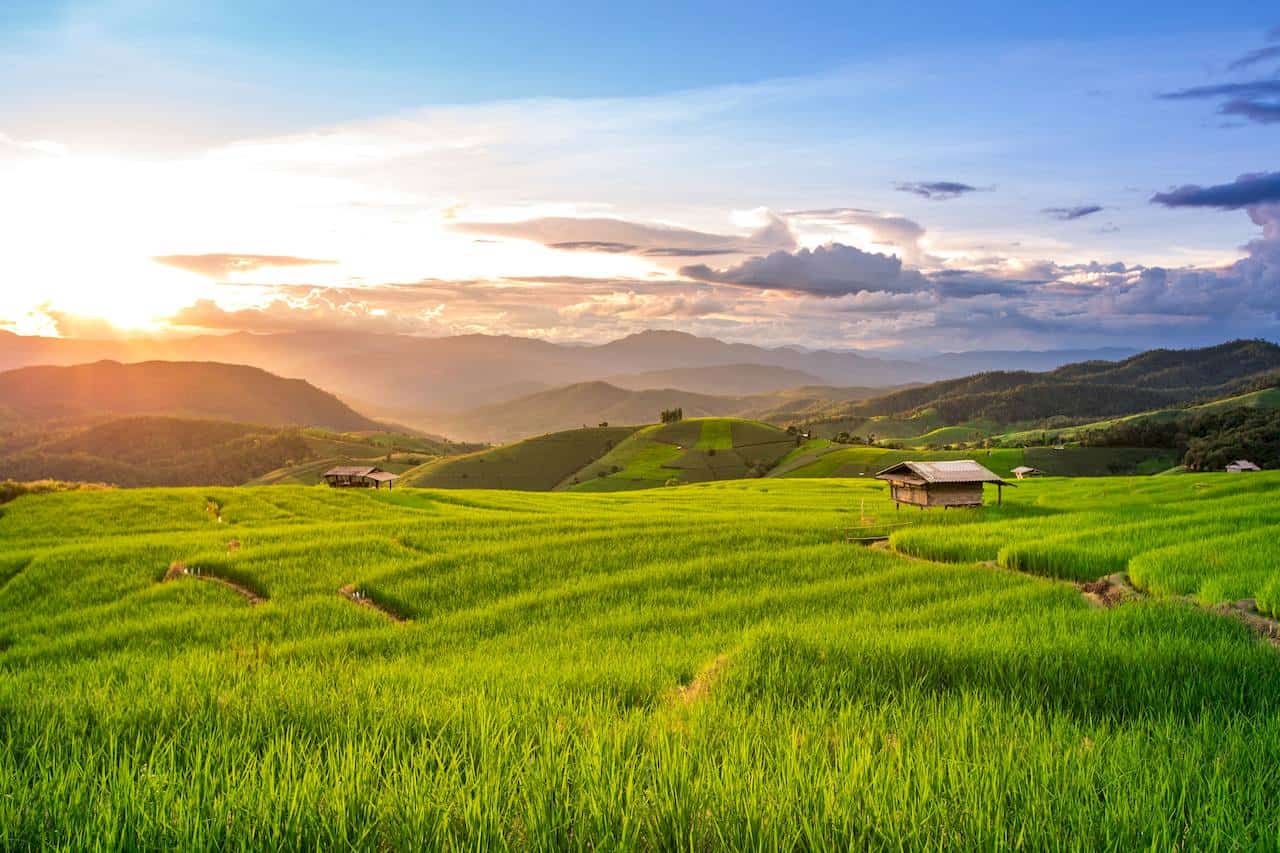 5-Day Life Reset Retreat With Elephants In Thailand
